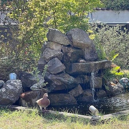 Les Lys De Rosie - Maison Familiale De Plain Pied Campagne Boisset-lès-Montrond Dış mekan fotoğraf